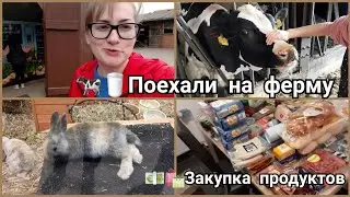 🐄🥛Поехали на ферму/ 🐇Зоомагазин/ 🛍️🛒 Закупка продуктов