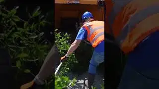 Handyman Hal uses a Wood Chipper  
