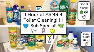 🎇🌸🚽 1000 SUBSCRIBER SPECIAL! ANOTHER 1 HOUR OF RELAXING ASMR TOILET CLEANING! TYSM!!! 🚽🌸🎇