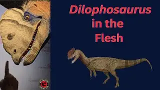 Dilophosaurus: In the Flesh in Vegas