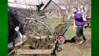 Удобрение для огурцов в теплице