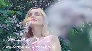Май - проказник