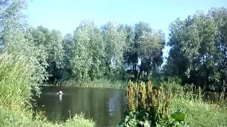 MOV00983