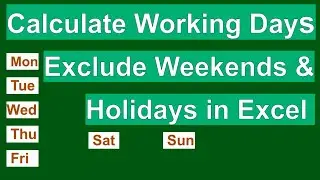 Workday international(intl) | workday function in excel