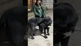 КТО КУДА