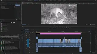 Transmissão ao vivo de LEONARDO MERÇON