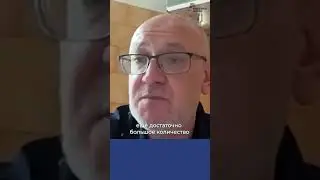 «Участие в выборах теперь преступление» / Резник