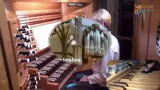 J.S. BACH  (1685 -1750) Trío Sonata N 3 in Re minor BWV 527, III.Vivace, organista Liudmila Matsyura