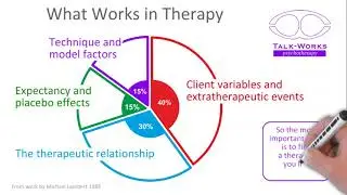 What Works in Therapy in two minutes