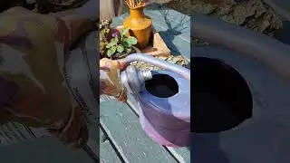 МУСОРНАЯ ГРЯДКА для огурцов готова! 