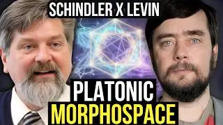 Exploring Platonic Morphospace w/Michael Levin & DC Schindler