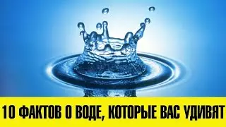 10 ФАКТОВ О ВОДЕ, КОТОРЫЕ ВАС УДИВЯТ