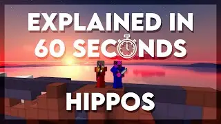 Hippos  | In 60 seconds
