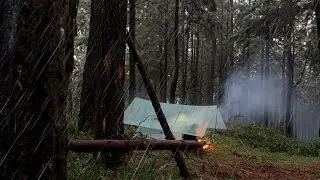Experience the MOST RELAXING Rain Camping Adventure in a Misty Pine Forest!