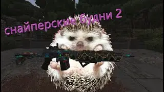 снайперские будни 2 STALCRAFT Гаусс + рш12