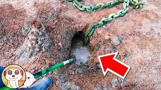 COSE INCREDIBILI SCOPERTE PER CASO