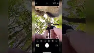Idea para foto en el bosque 🔥🤯