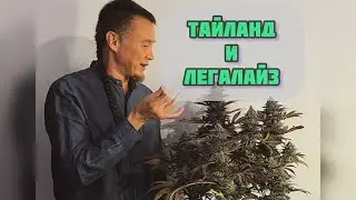 Медкон в королевстве Тайланд. Стрим