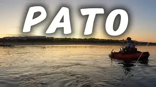 VAYA disfrute de JORNADA | PESCAMOS con el PATO en la RÍA DE HUELVA |