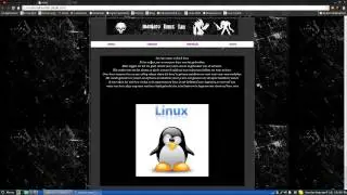 my fist website