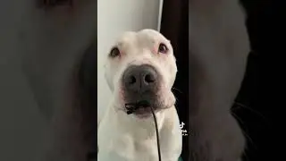 ррррррррррррррррррррррррррррррррррррррррр