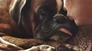 Тайсон на облаках💘 18 мая ему бы исполнилось 12 лет