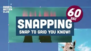 Snapping - Snap to grid i After Effects 