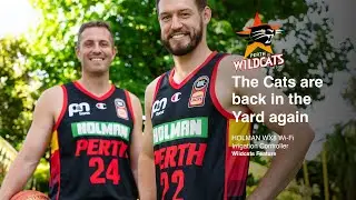 Perth Wildcats Are In The Yard (again)!