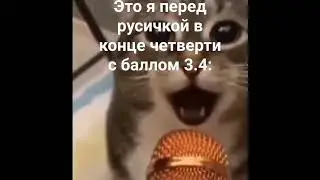 #мемы