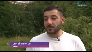 Урожай на продажу: как реализовать лишние кабачки и зелень со своего участка, не нарушая закон