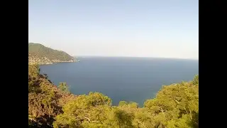 тут без Рыскать