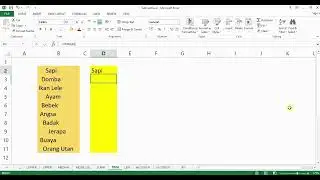 21. Mahir Rumus Excel - Rumus TRIM Pada Microsoft Excel Untuk Menghapus Spasi