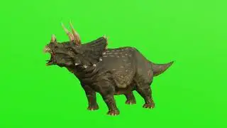 Free Green Screen Video Download Dinosaur [4K]