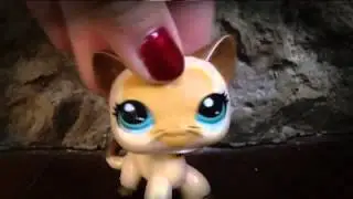 LPS "Fall 4U" MV