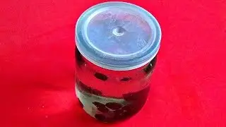 Боярышник поможет НЕ ТОЛЬКО сердечникам! Укрепи мужскую силу.
