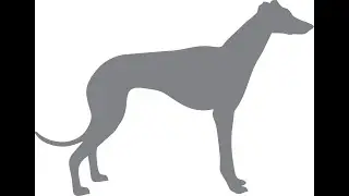 Manequim Galgo
