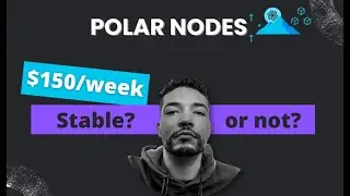 Polar Nodes 100 Days Review | How much I made