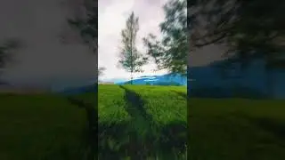 Puncak Bogor