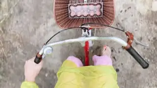 PICKING UP EGGS :: SLICE OF LIFE