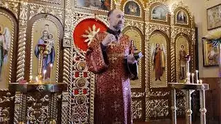 Евангелие о настоящей жизни. 27.08.2023.