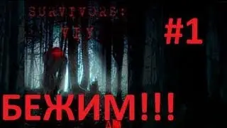 Survivols Viy хорошое качество