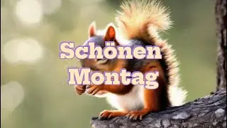 Schönen Montag Gruß 🌞 | Zum Teilen auf WhatsApp & Co
