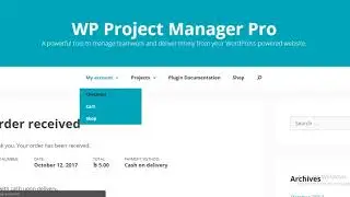 WP Project Manager WooCommerce Order Integration