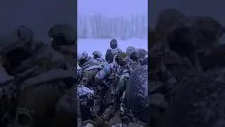 Наші котики 🇺🇦
