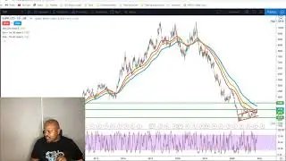 Village Trader charts 