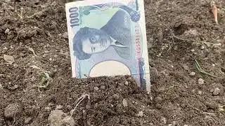 How to make your money grow faster 😆😂
