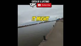 This is Not a Walleye Bro.