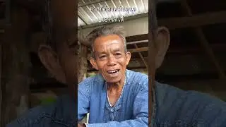 2 สิ่งสำคัญ ของการปลูกข้าวโพดคือ…? #ฟาร์มโปรครบวงจร #ฟาร์มโปรไอดอล #CPP #CPCrop #เกษตรกร #ข้าวโพด