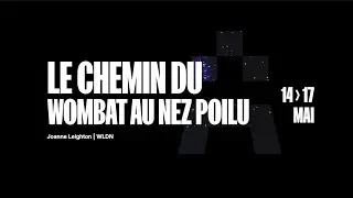 LE CHEMIN DU WOMBAT AU NEZ POILU