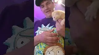 Weasley Kittens Update 24   Paw Paw Visits